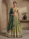 Rajwadi Olive Green Chaniya